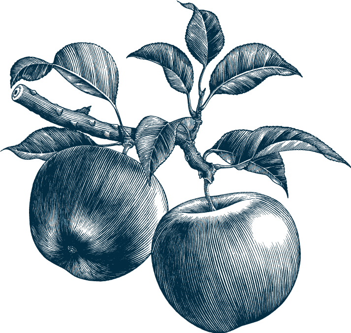 Image de pommes en dessin